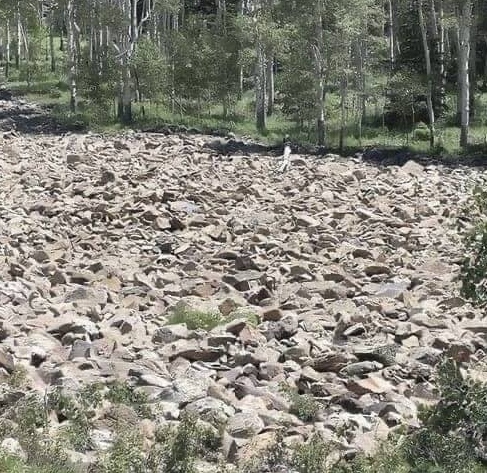 Ukryta kobieta